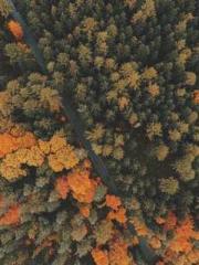 The beloved little b The beloved little b