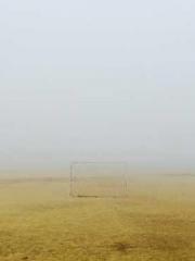 Mr. Shen, overdue an