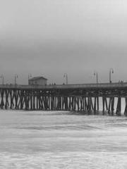 My husband is the Ki My husband is the Ki