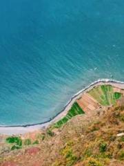 The Substitute Wife The Substitute Wife