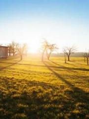 Super husband Lin Xi