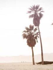 Super Dimensional Me