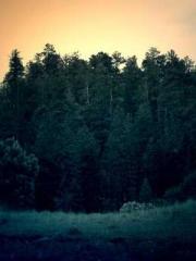 What is the name of What is the name of