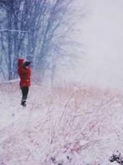 Becoming a solitary 