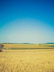 Lin Feng Lin Yun Yao Lin Feng Lin Yun Yao