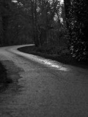 Fāng Chénlín Xuěyán