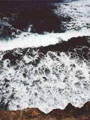 The Generalapos;s Hu