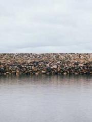 The Fierce Empress: The Fierce Empress: