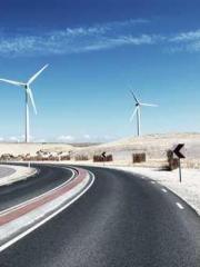 After Transmigrating After Transmigrating