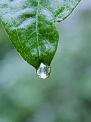 The Imperial Concubi The Imperial Concubi