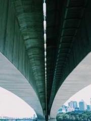 The Beloved Physicia The Beloved Physicia