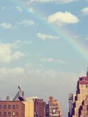 Become a big shot in