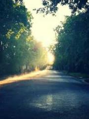 The Substitute Wife The Substitute Wife