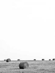 Li Qingqing and Zhao