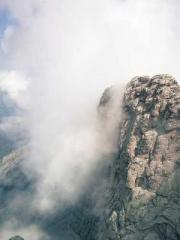 Becoming a solitary 