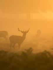 Reborn in the Apocal Reborn in the Apocal