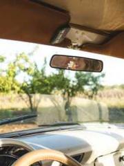 Transmigration: Feel
