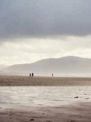 RONG Zhaonan NING Yu