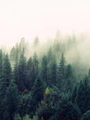 lt;Han Shizugt; lt;Han Shizugt;