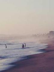 The Stand-in Wife Wa