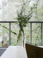 Qi Revival: I woke u