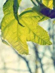 Free Reading of Hait Free Reading of Hait