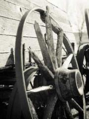 A Wifeapos;s Plea fo