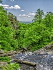 My seven stunning an