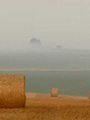 A Heavenly Gift: The