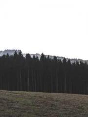 lt;Jingyuan Rong Sha