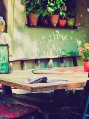 Mr. Gu, your wife is