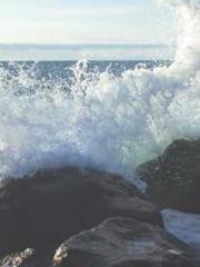 lt;lt; The Divine Do