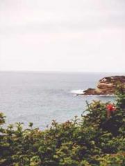 lt;Mr. Bao, Mrs. Bao lt;Mr. Bao, Mrs. Bao