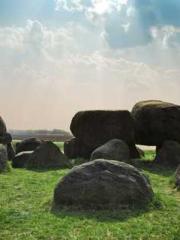 My seven stunning an