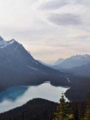 Lin Feng Lin Yun Yao