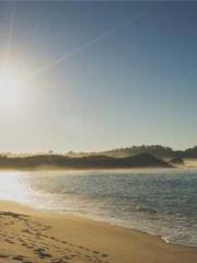 One Pregnancy, Two B