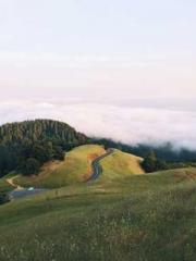 Get out of here! Get out of here!