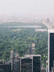 Saintly Gate Venerab