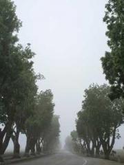 Retired War God Yang