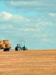 Super Dimensional Me